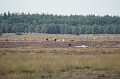 DSC07691