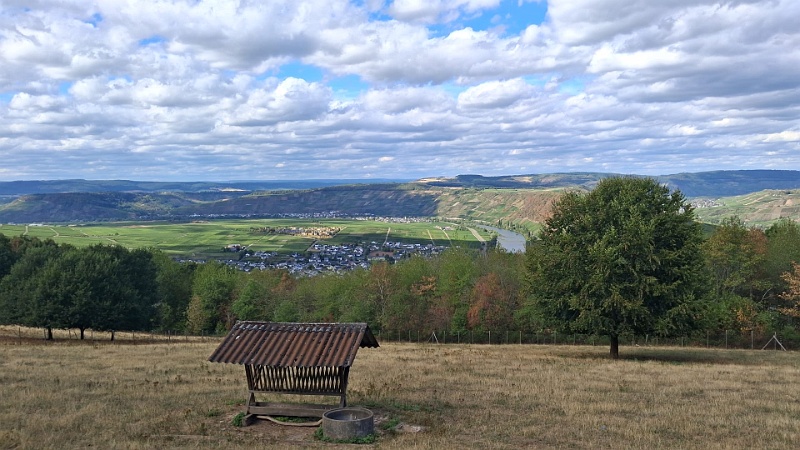 IMG-20260904-WA0005.jpg