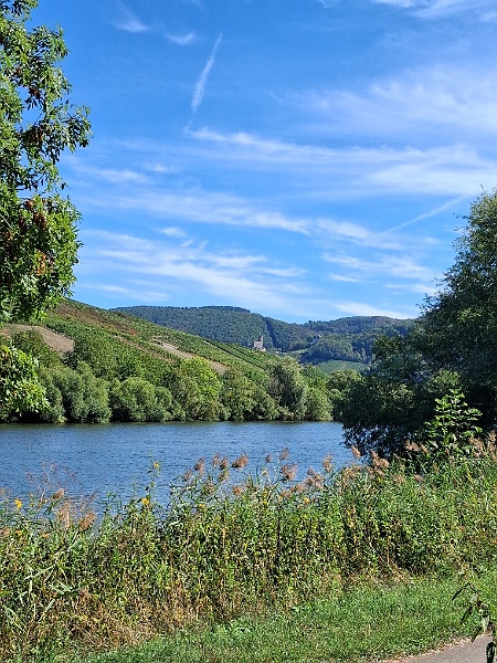 20260906_125044.jpg