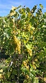 IMG-20260906-WA0009