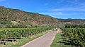 IMG-20260906-WA0011