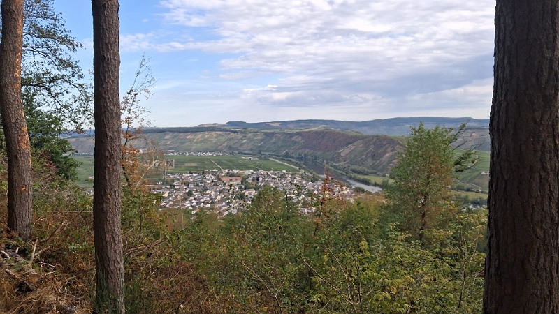IMG-20260907-WA0003.jpg