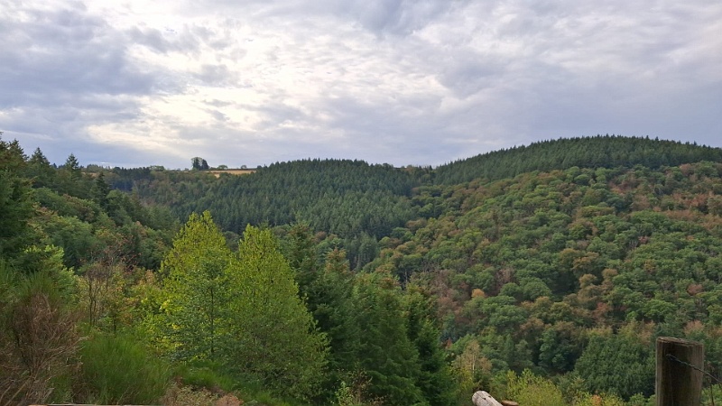 IMG-20260907-WA0009.jpg