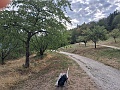 20260907_093309
