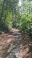 IMG-20260907-WA0029