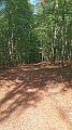 IMG-20260907-WA0035