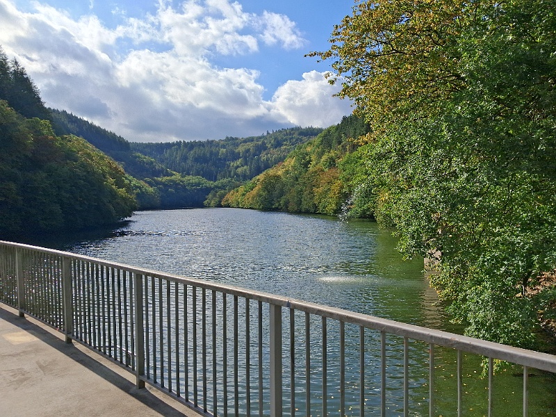 20260908_103122.jpg