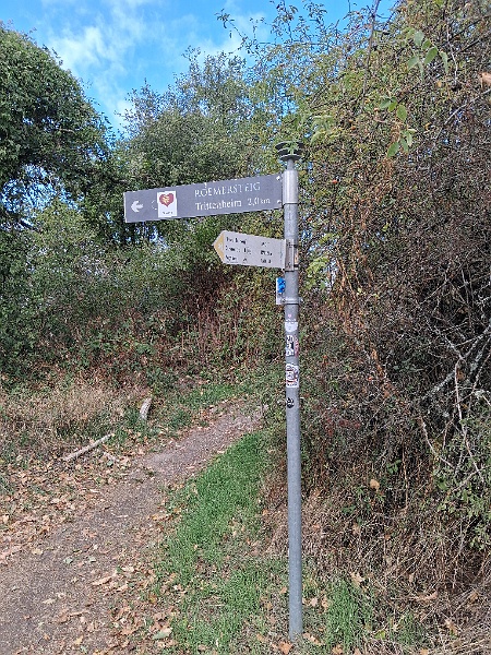 20260909_110439.jpg