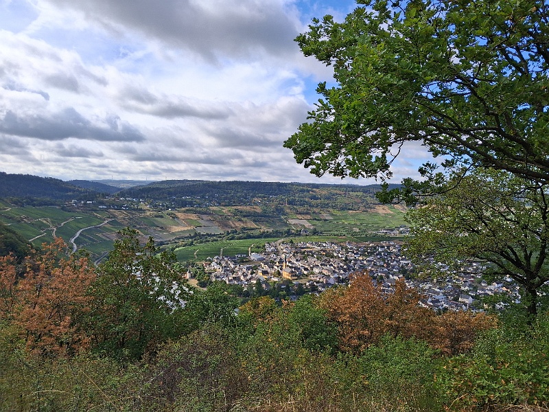 20260909_110849.jpg
