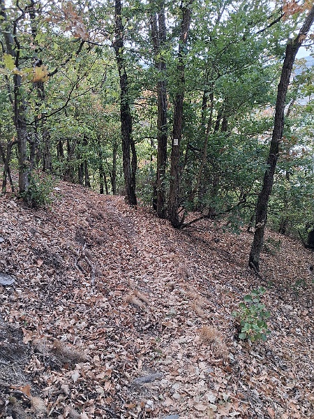 20260909_112119.jpg