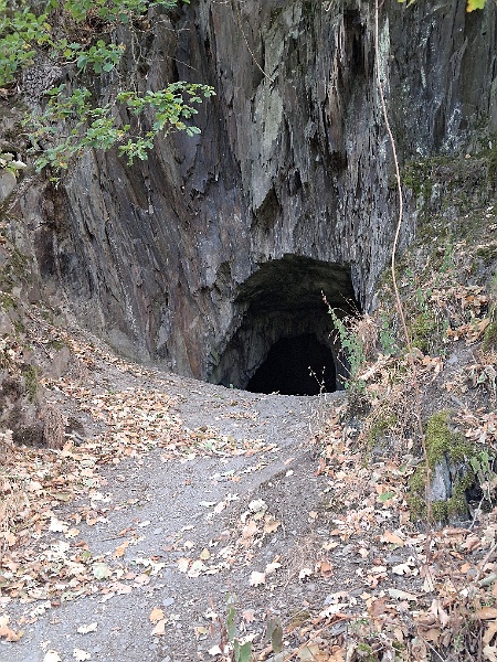 20260909_113004.jpg