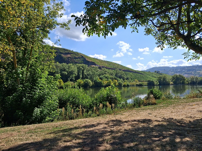 20260910_114128.jpg