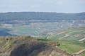 DSC07924