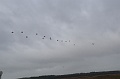 DSC07976