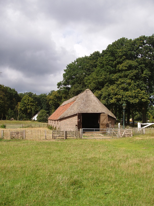 P9060017.jpg - OLYMPUS DIGITAL CAMERA