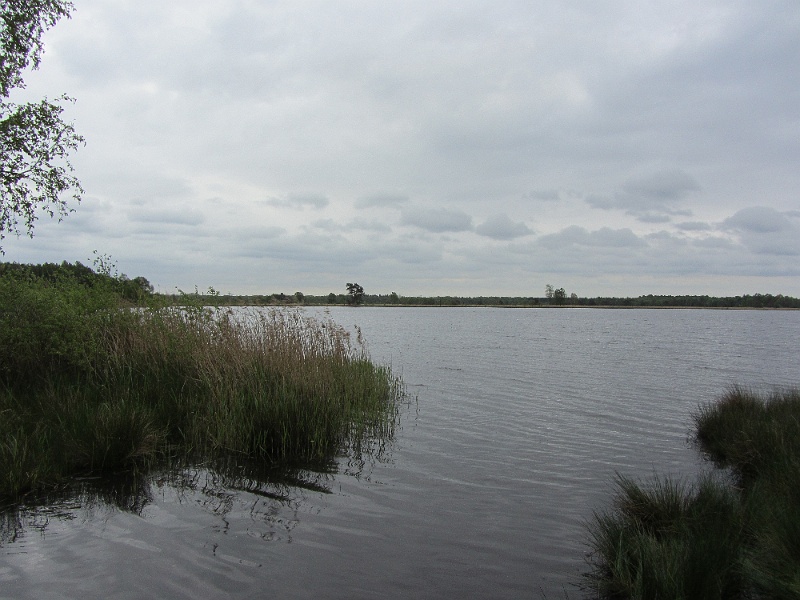 IMG_2852.JPG