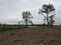 IMG_2855