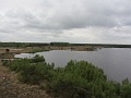 IMG_2861