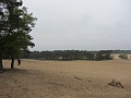 IMG_2868