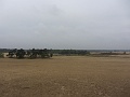 IMG_2869