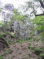 IMG_2966