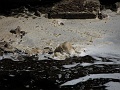 IMG_3026