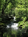 IMG_3033
