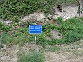 IMG_3169