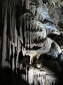 IMG_3179