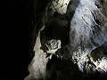 IMG_3181