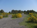 IMG_3292