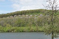 DSC07878